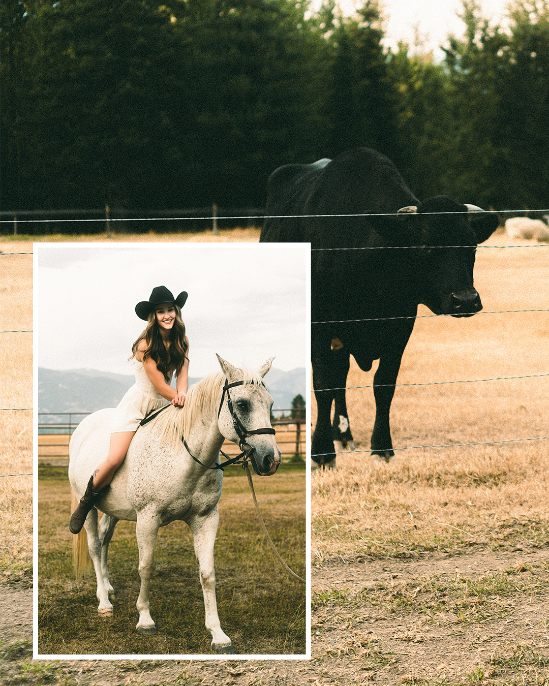 Creative Editorial Portraits with Horses on a Private Ranch in Montana — photograph 12 of 20